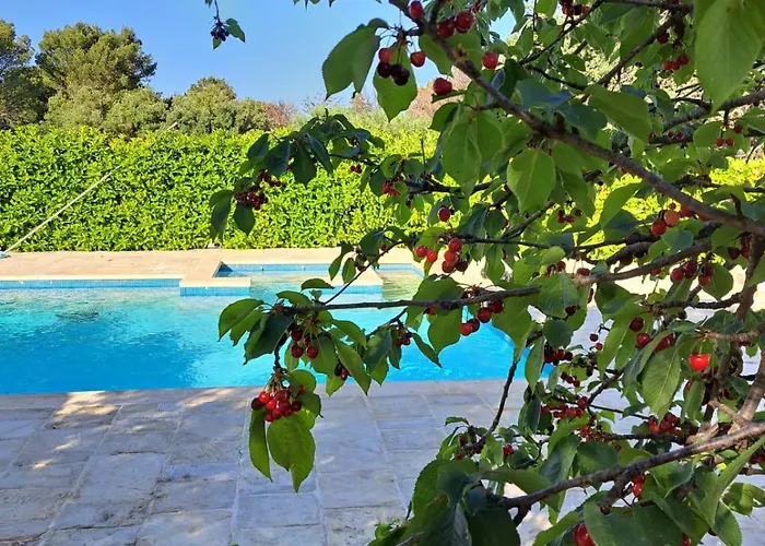 Trulli Gianfelice * 马丁纳弗兰卡